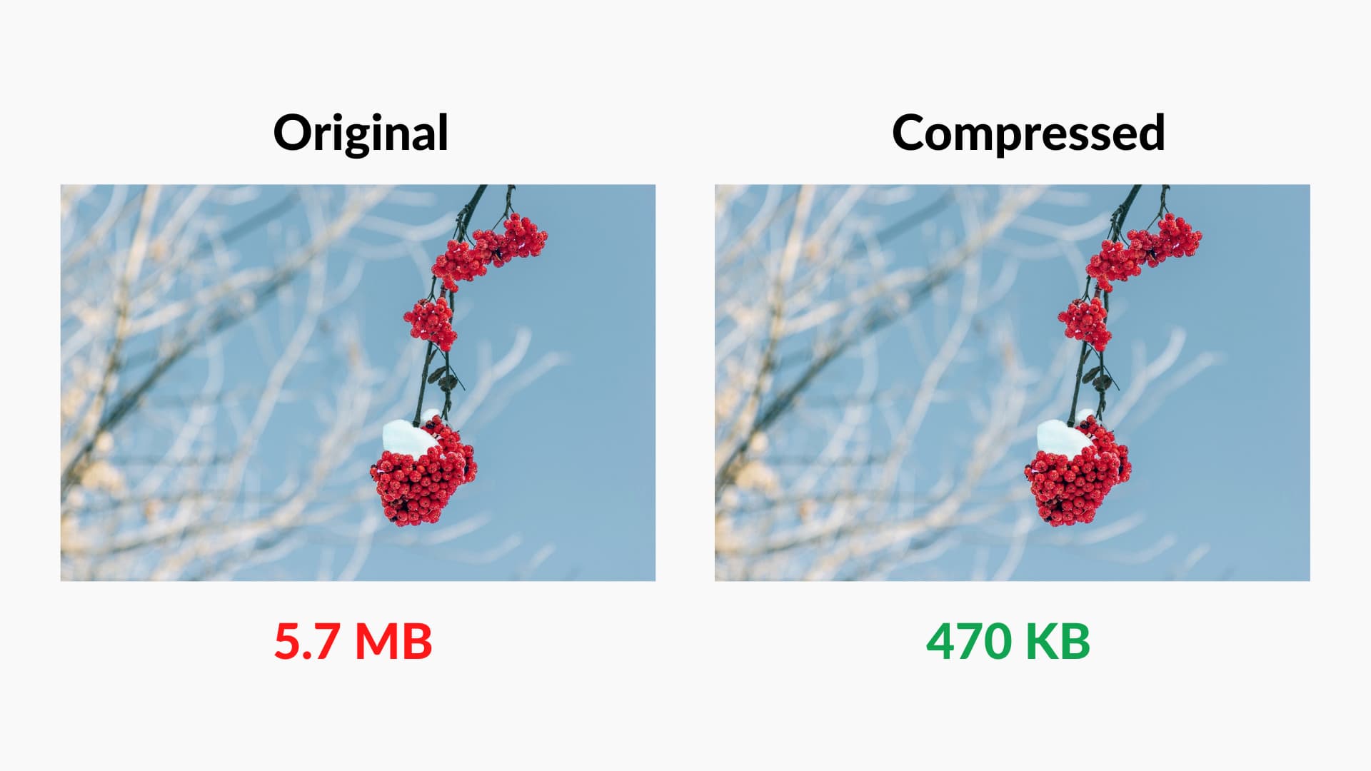 Illustration of Compress The Images